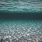 beaver diving depth limits