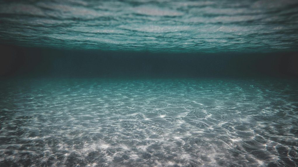 beaver diving depth limits