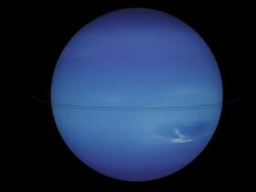 giant planet with unexpected rings